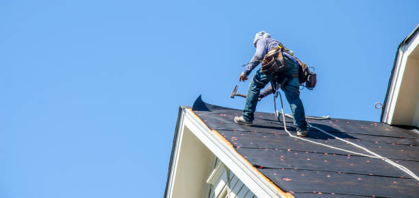 Best Roof Waterproofing Services  in Almedia, PA